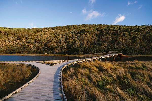 Wilsons Promontory Take a walk on the wild side