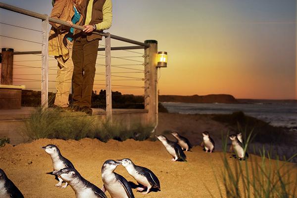 Phillip Island Parade with the Penguins